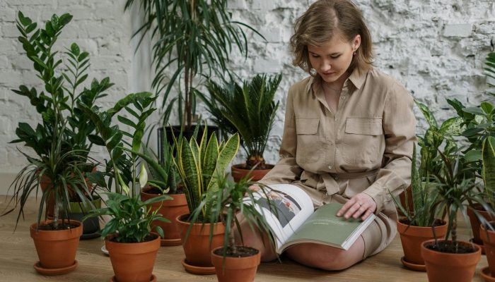 pexels-cottonbro-4503748